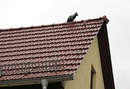 Dachumdeckung · Doppelmuldenfalzziegel Granat · Edelengobe kastanie mit Dachschmuck